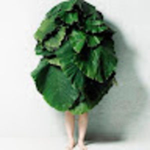 Meet your Posher, Cari